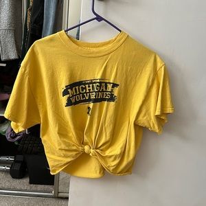 U of M shirt crop top